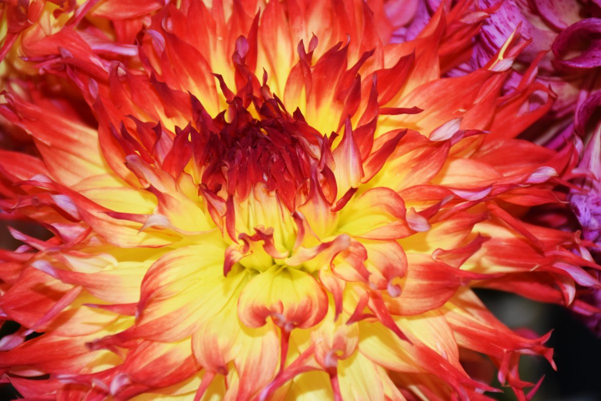 Washington State Department of Agriculture tweet media