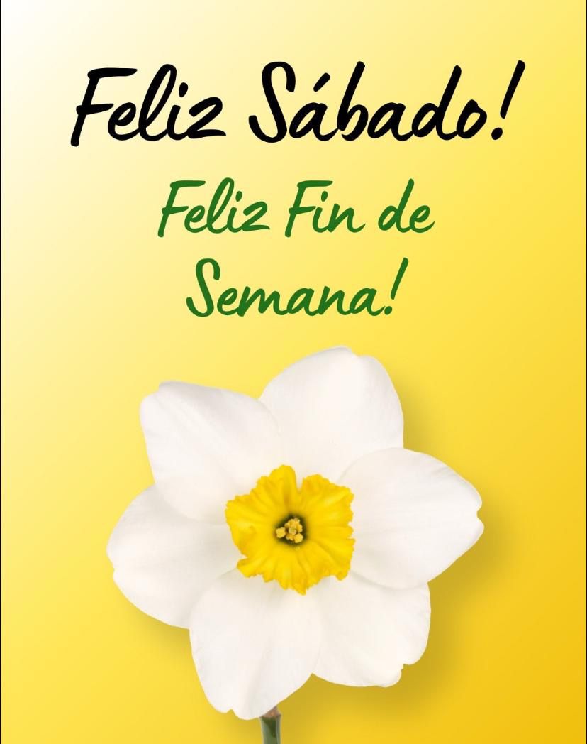 Sol 🌞 tweet media