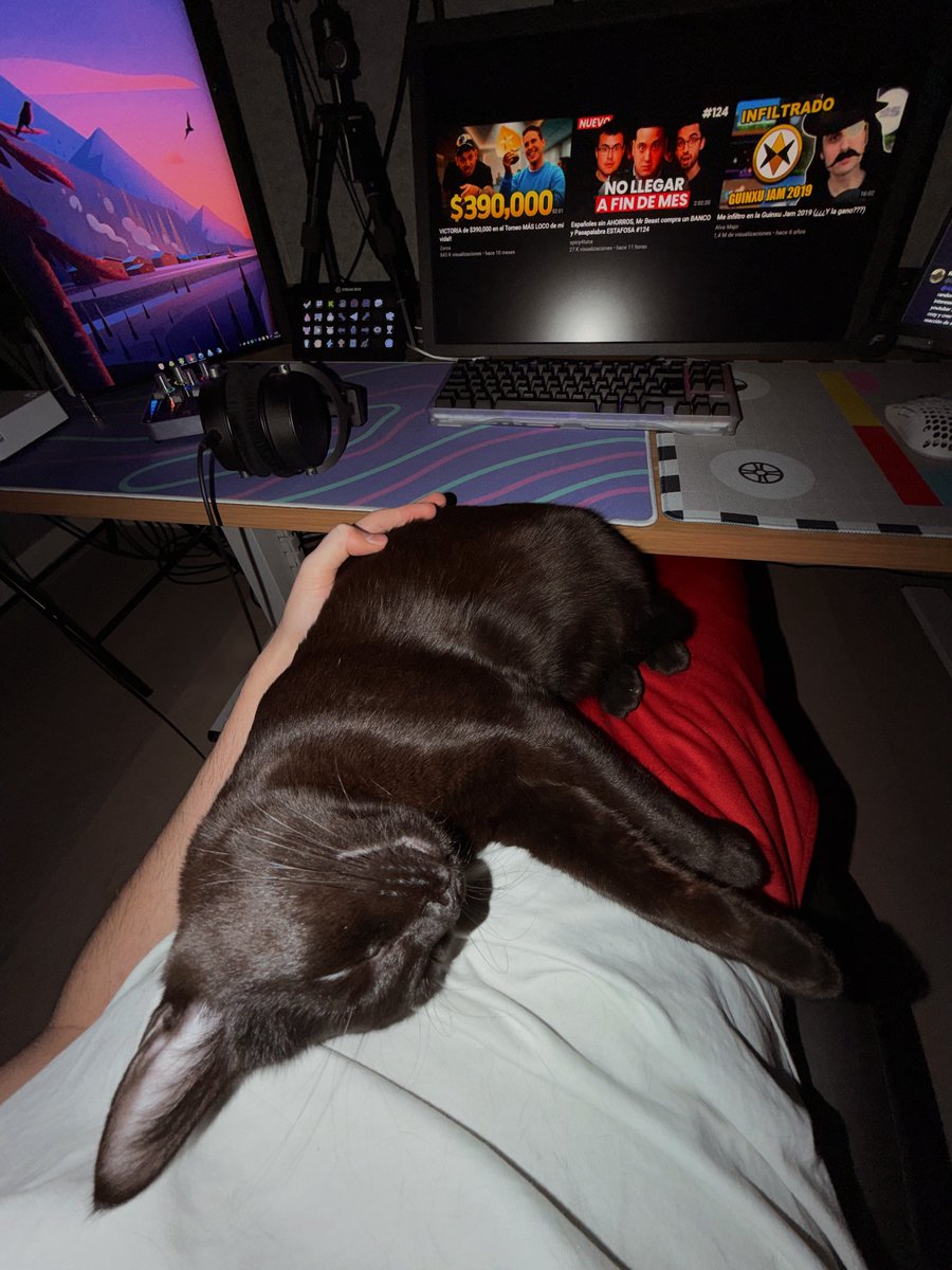 woody y yo os deseamos un feliz san valentín🫀