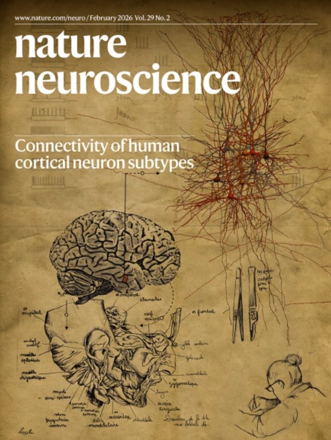 Franz Mittermaier tweet media