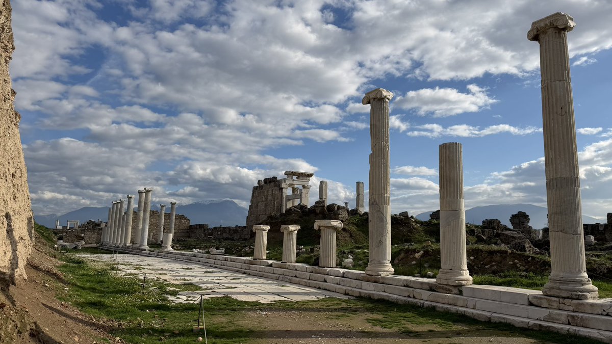 Celal Şimşek tweet media