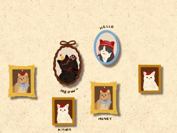 only cute things (@cutedreamvibes) on Twitter photo 