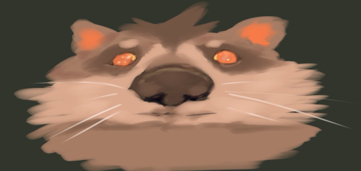 Goated

fT. PokoRaccoon