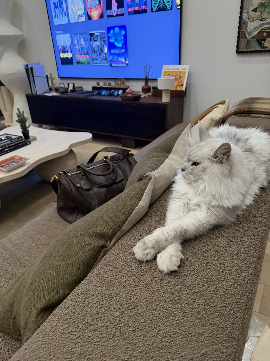 rauwalejandro's tweet image. feliz dia del amor 🤍 ❄️