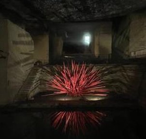 MASEMY's tweet image. 今日が暇 🏖️