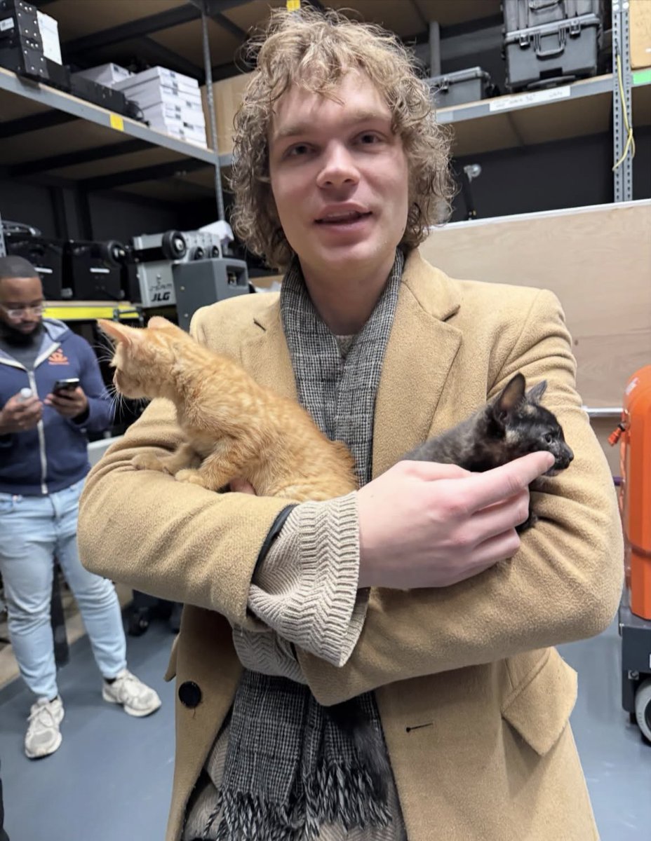 ClubIverson's tweet photo. Lucas holds Halloween colored kittens on Supriya's latest Instagram post.

https://t.co/gXRxlIHV6g https://t.co/1FK6VvrLdX