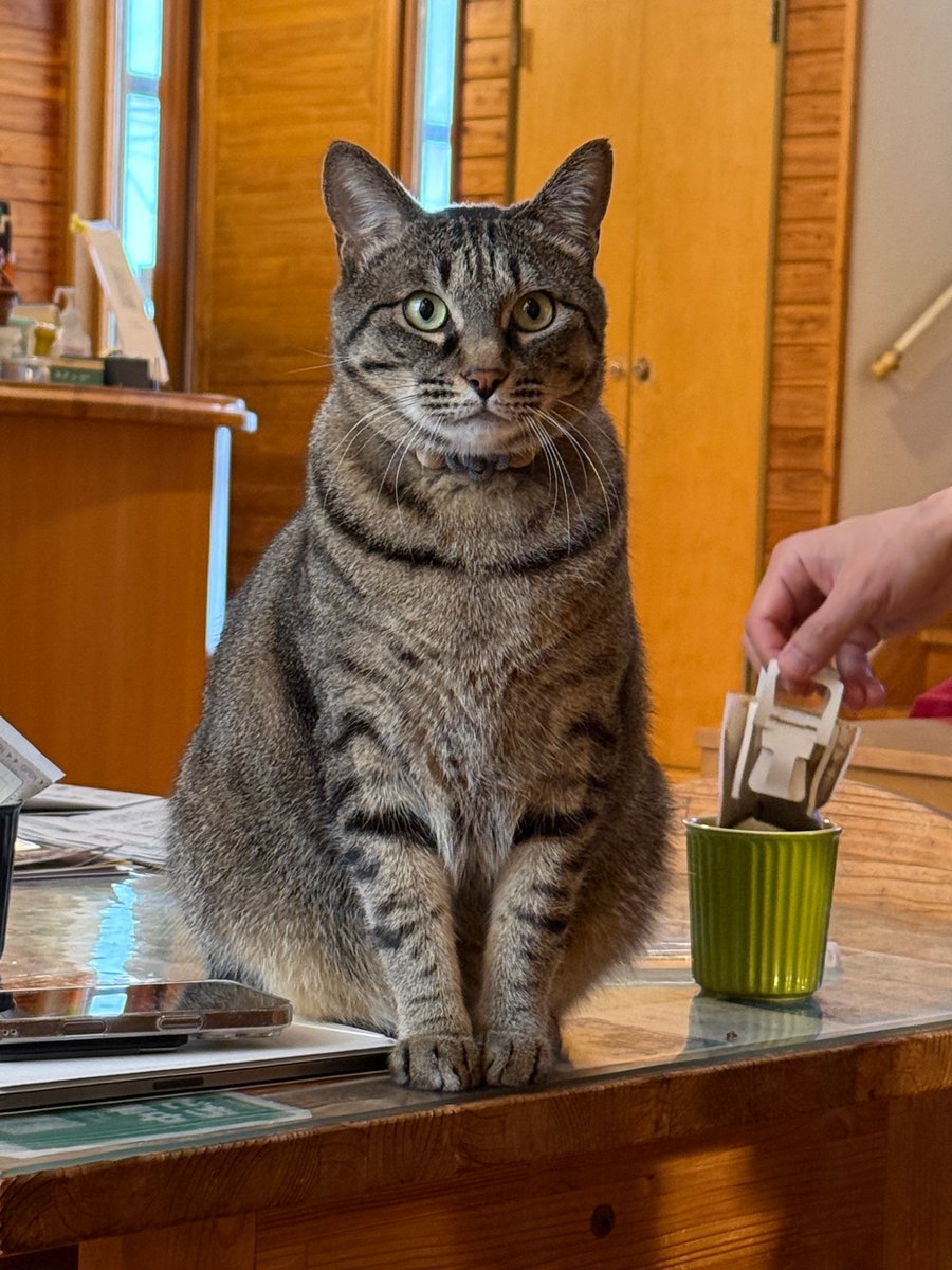 MacJohnathan's tweet image. 산장의 아침