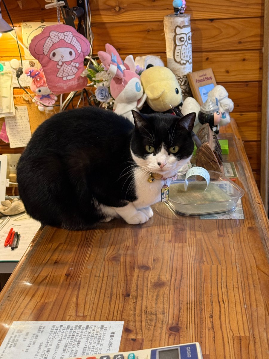 MacJohnathan's tweet image. 산장의 아침