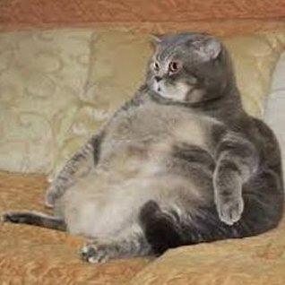 CDBacker's tweet image. 冷たいサンドイッチを作る 😵