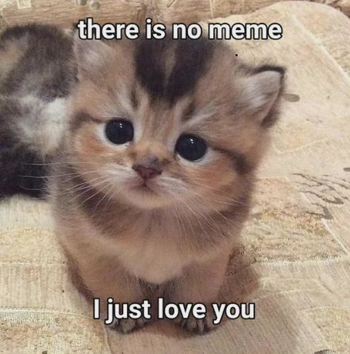 there are literally no memes for valentines, not 1 coin has ran.

only makes sense to run what elon gave us

there is no meme, i love you

x.com/elonmusk/statu…