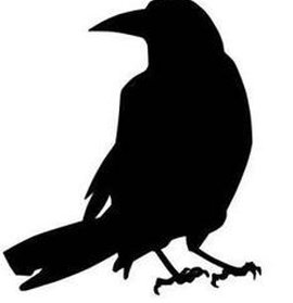 moLPa01's tweet image. 涼しい空 🦅