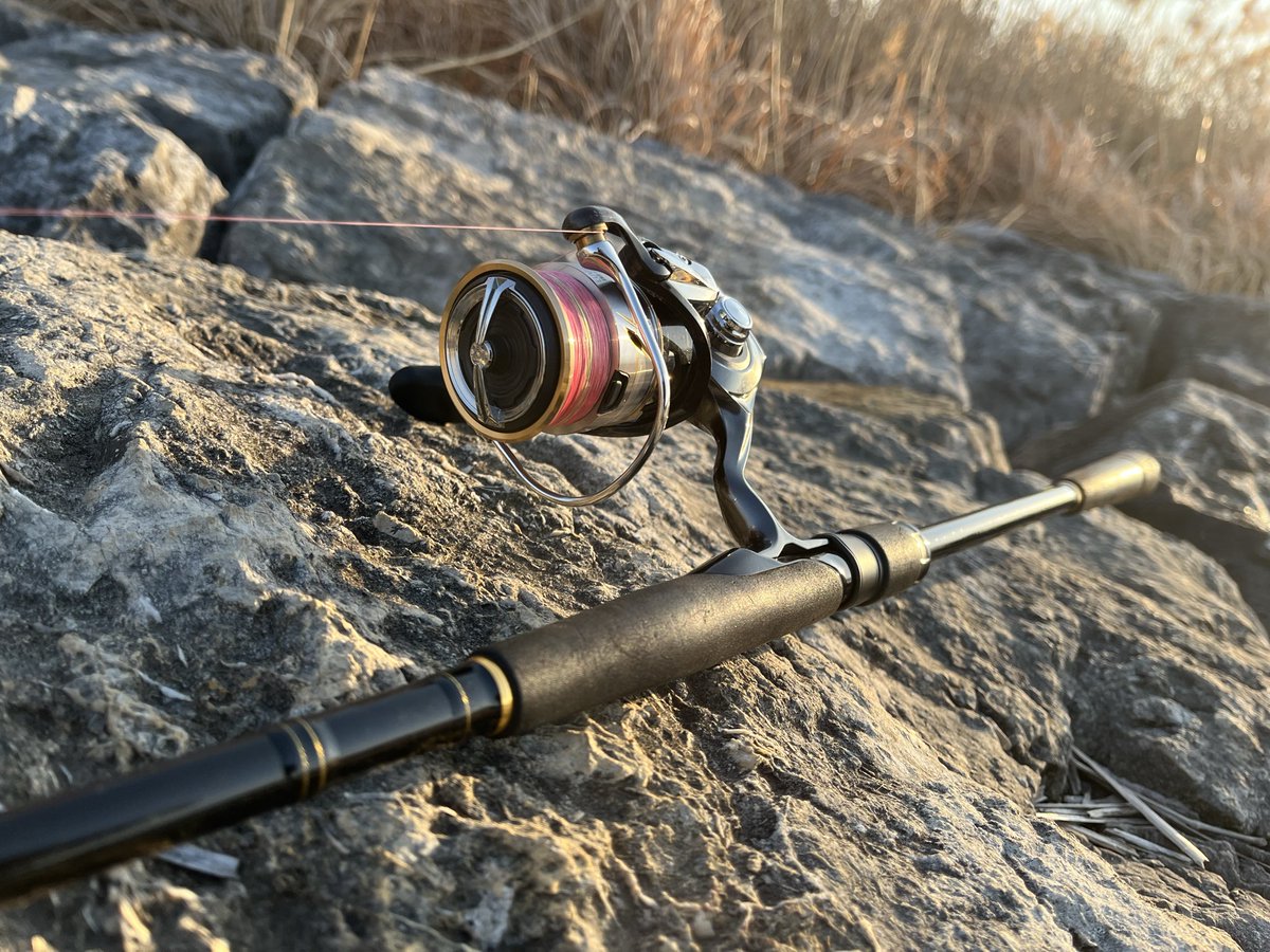 荒川シーバス！！満潮下げ！
シーバス亜種とたわむれてたら、この角度のタックルがかっこ良すぎることに気づく笑
次はシーバスとツーショット撮りたいな！
(ニゴイ様とはとらなかったです)