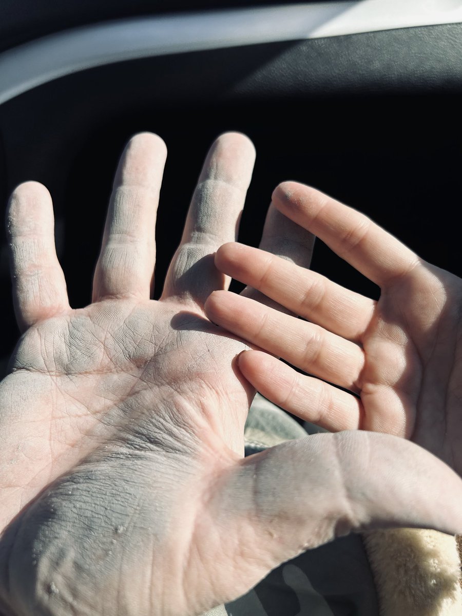 Sarah Sansoni tweet media