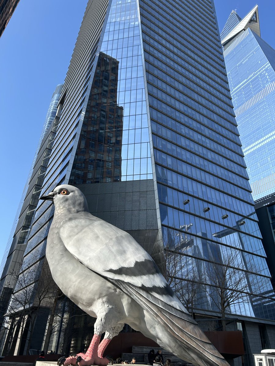 Chris Carter-Chapman tweet media