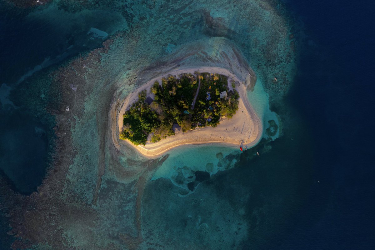 Erique Loubens Alerque ANTOINE tweet media