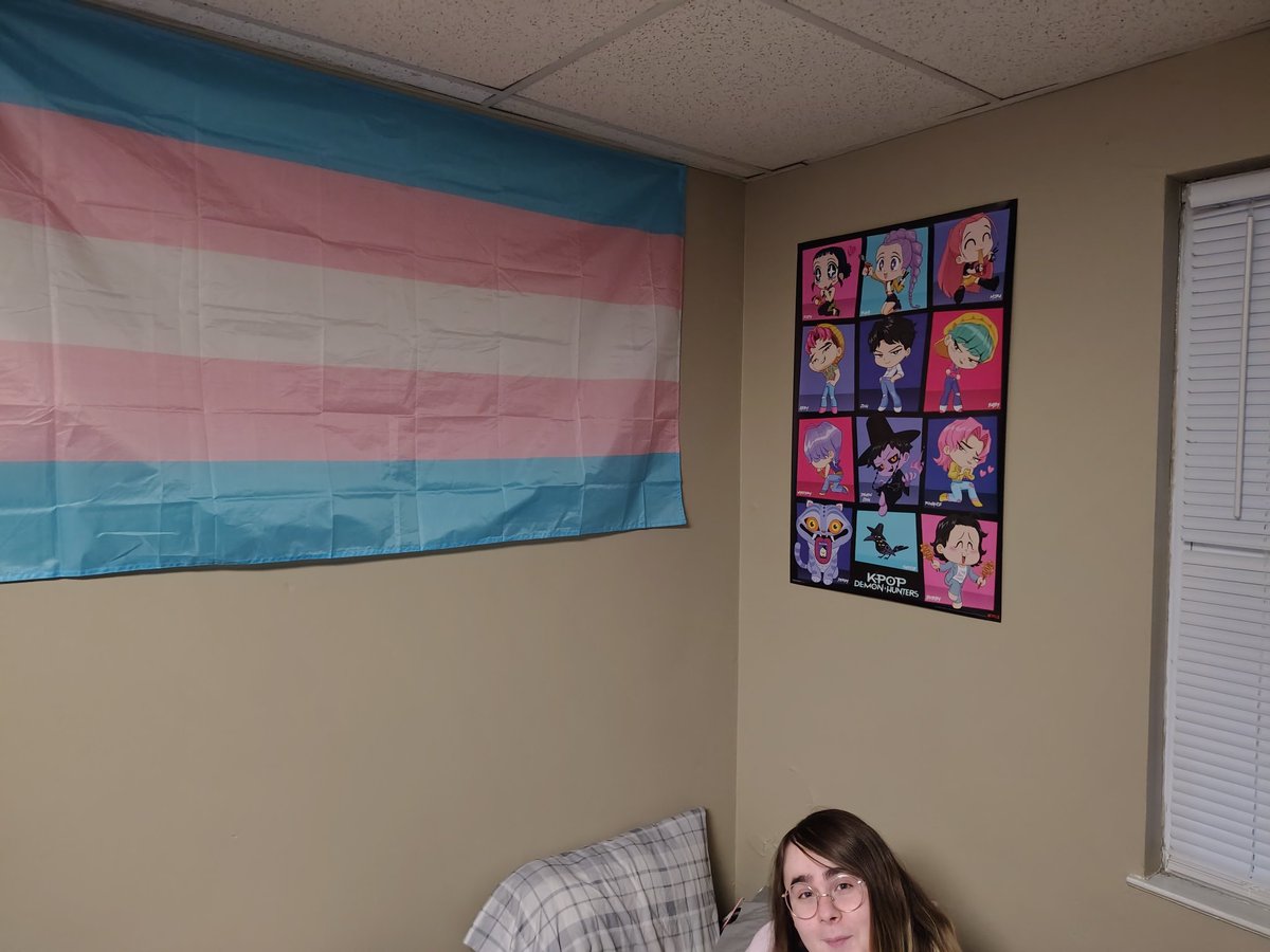 Was missing growing up as a girl, so got some posters for the room(ignore the mess)