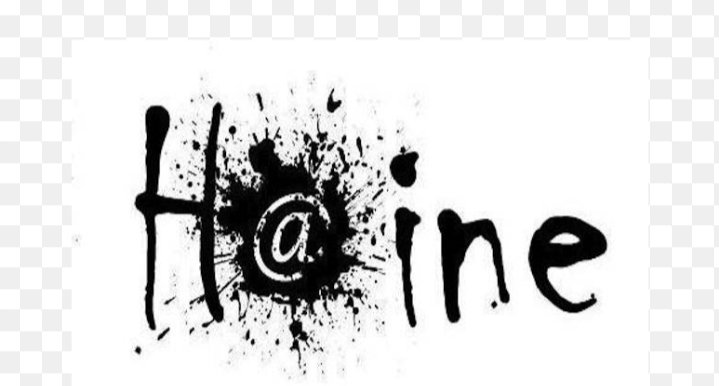 Vous connaissez ce sentiment, la haine ?
La haine te prend les tripes , te ronge l'esprit, te prend une partie de ton âme, te ronge de l'intérieur...
Ça fait longtemps que je n'avais pas éprouvé ce sentiment, la mort du petit Quentin a fait ressurgir la bête en moi !!!