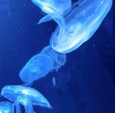 Webjack08's tweet image. 旅行して希望 🍙