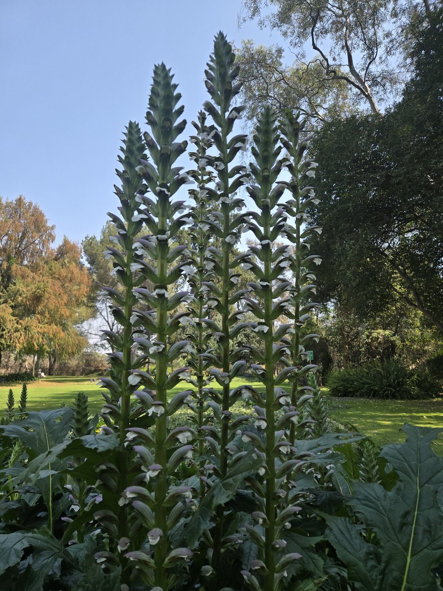 Cecy 🌌🪐 tweet media