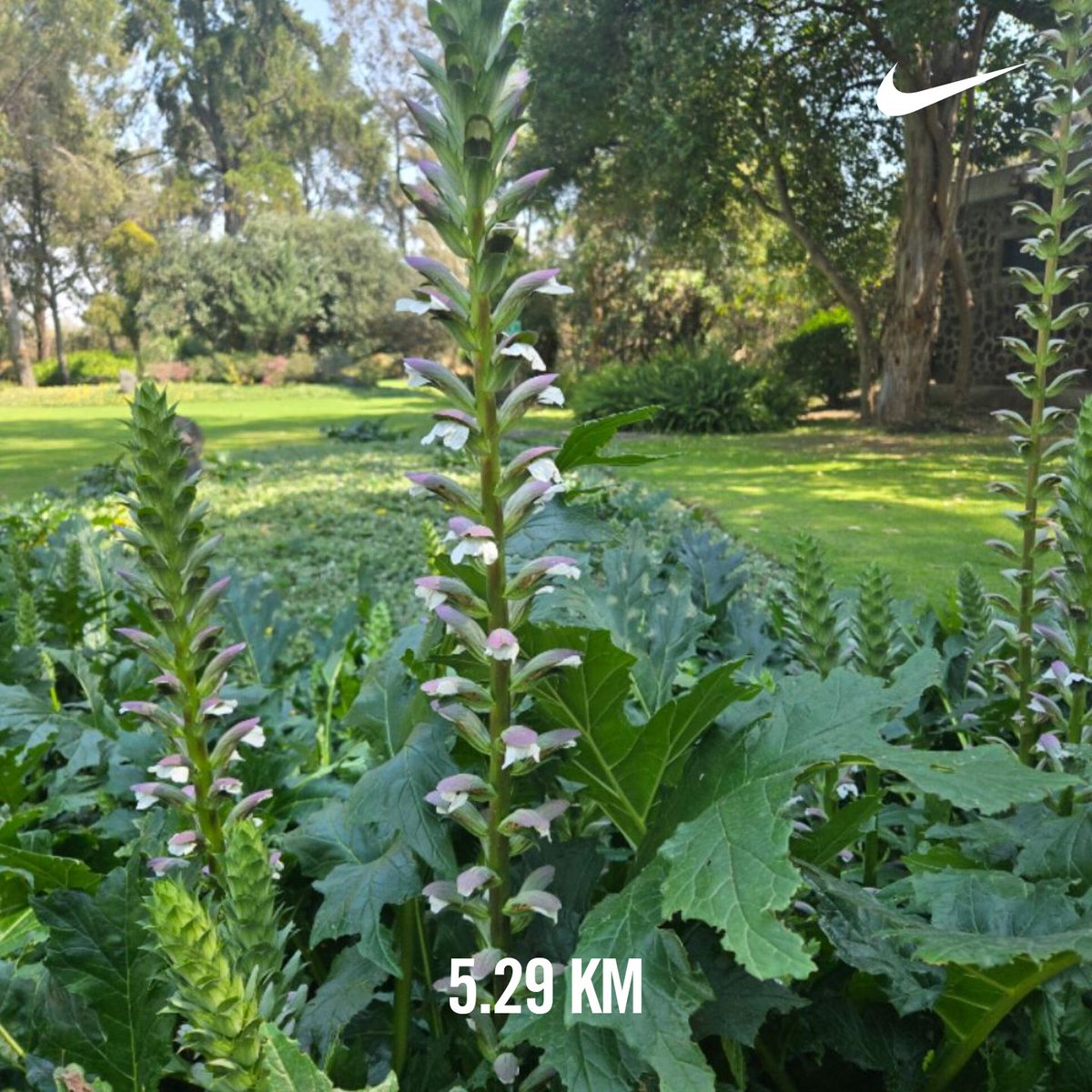 Cecy 🌌🪐 tweet media