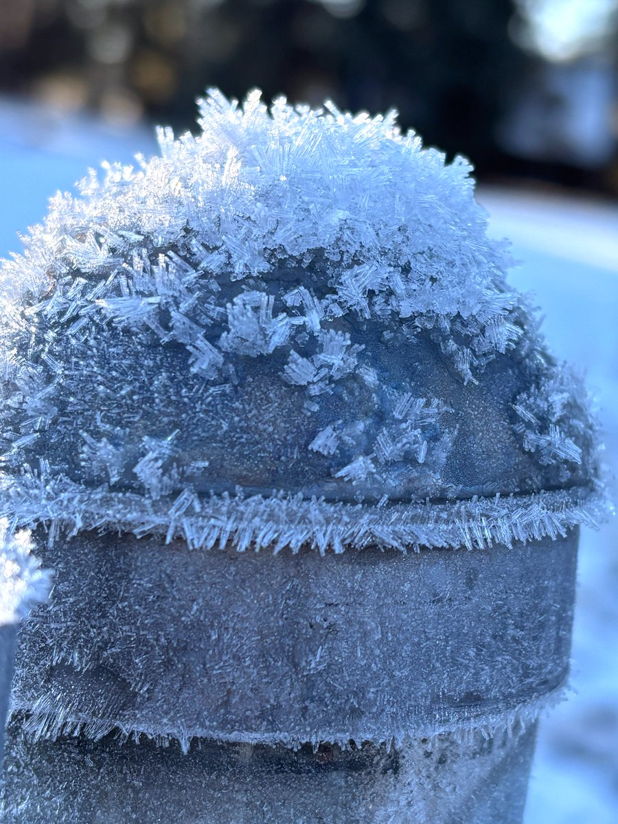 🇺🇸 PAZ Phillips tweet media