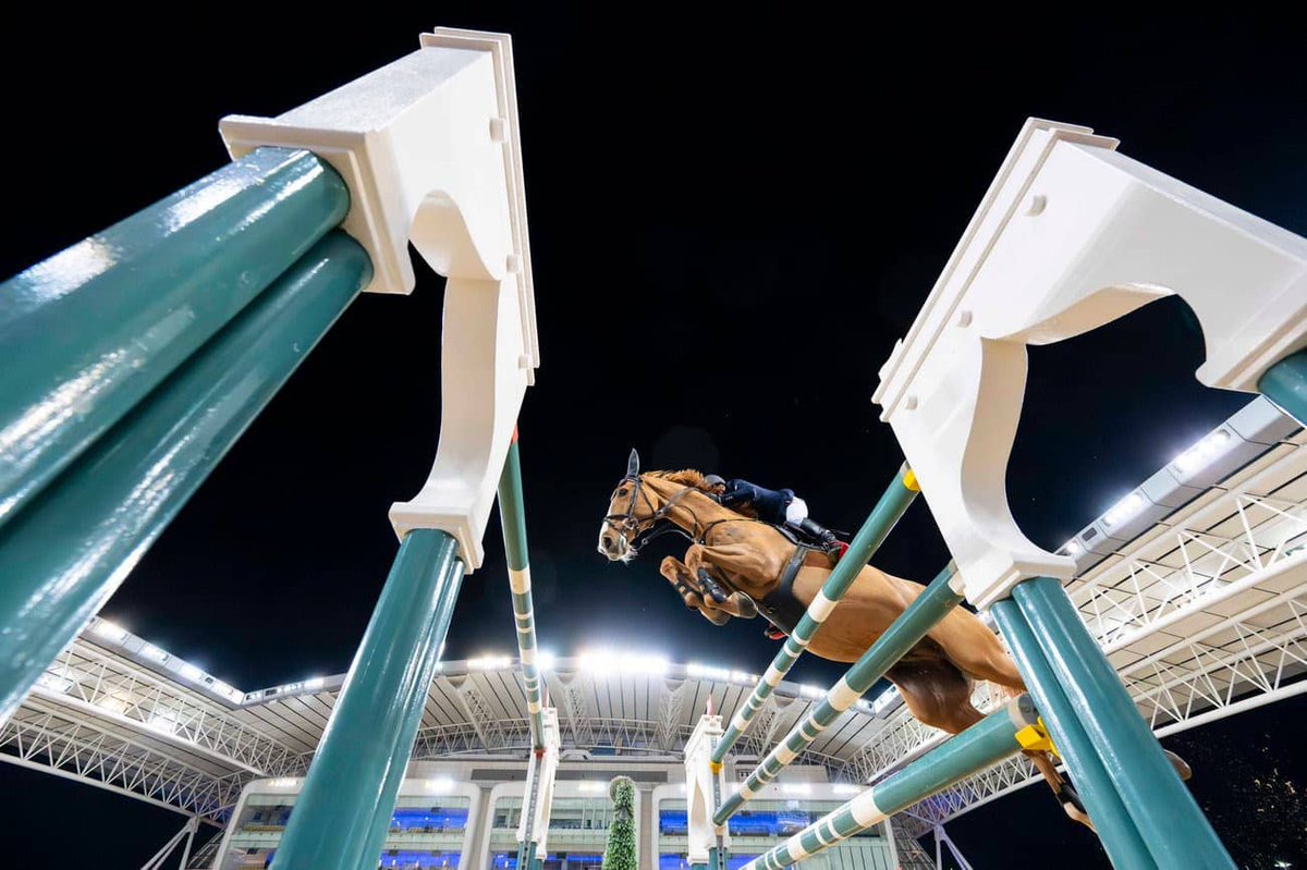 HorsewebDe's tweet photo. Mit zwei Top-Five-Platzierungen hat Hans-Dieter Dreher das CSI5* H.H. Amir`s Sword beendet, darunter ein dritter Platz im Großen Preis des CSI3*. Schon am Dienstag beginnt nun das CHI Doha. (Foto: Lukasz Kowalski) ( Foto: Lukasz Kowalski) #alshaqab
https://t.co/gcfzUvBmqL https://t.co/e9qt91rAmO