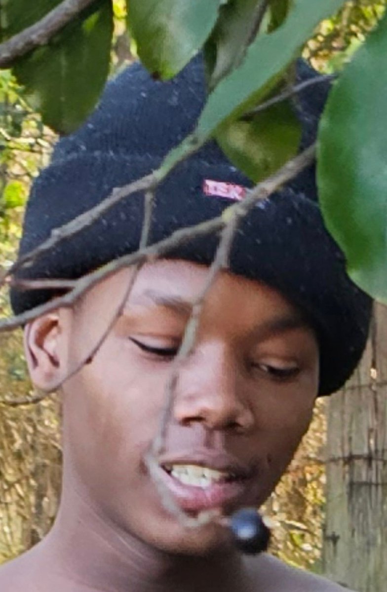 Macon Crimestoppers tweet media