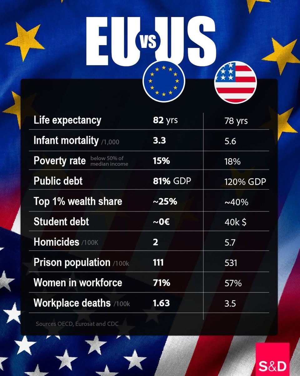 Professional Optimist tweet media