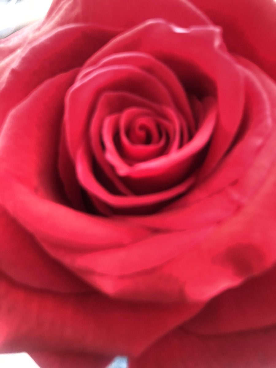 Happy Valentine’s Day!