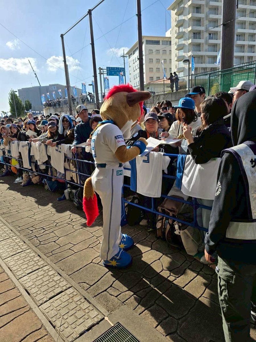 フレップの"本音を言うと…“ tweet media