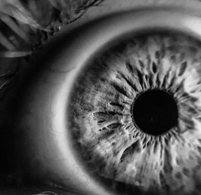 PrenticeRealty's tweet image. 街は何かな？ 🐞