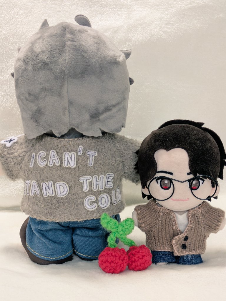 せっかくなのでモカも作ってみた🤎 ぬいちゃんと双子コーデ🤎🤎 私も