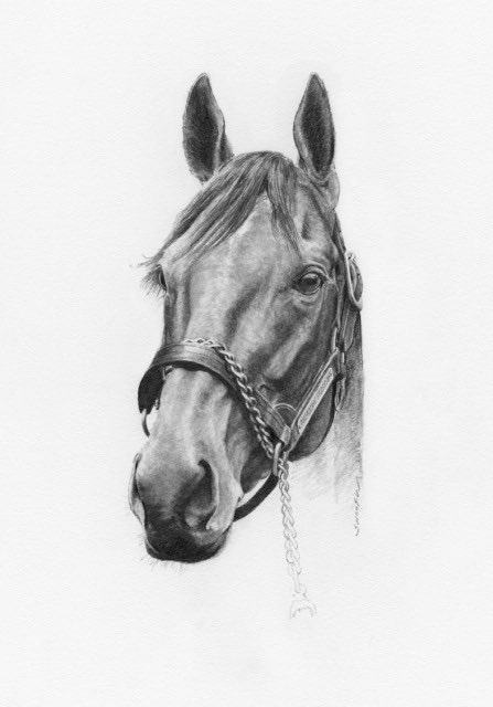 Brett Shufelt tweet media