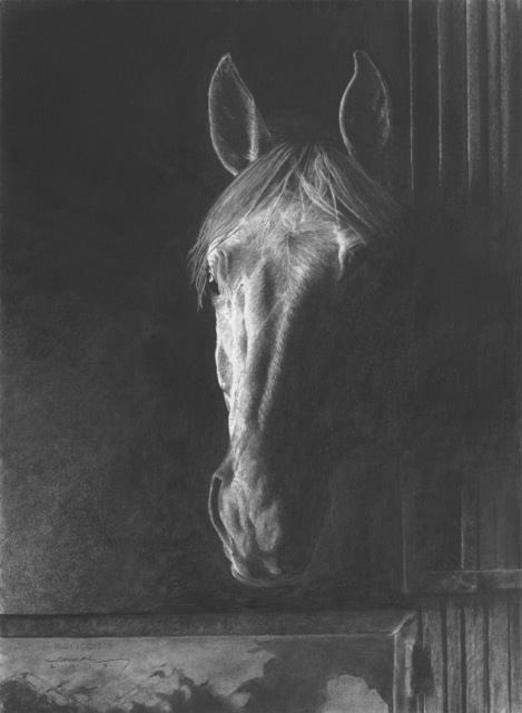 Brett Shufelt tweet media