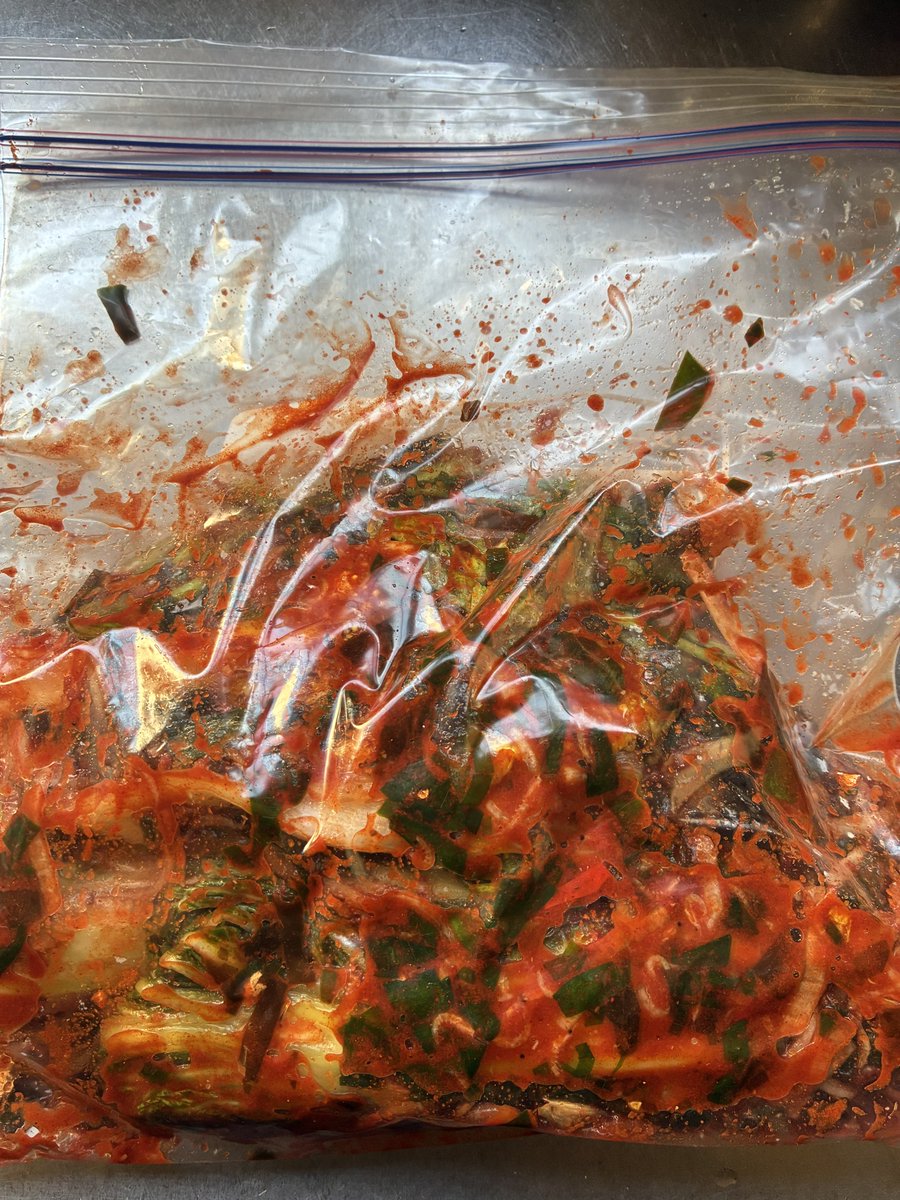 キムチがだいぶ値上がりしてたので初めて手作りしてみた
夜にでも試食します
