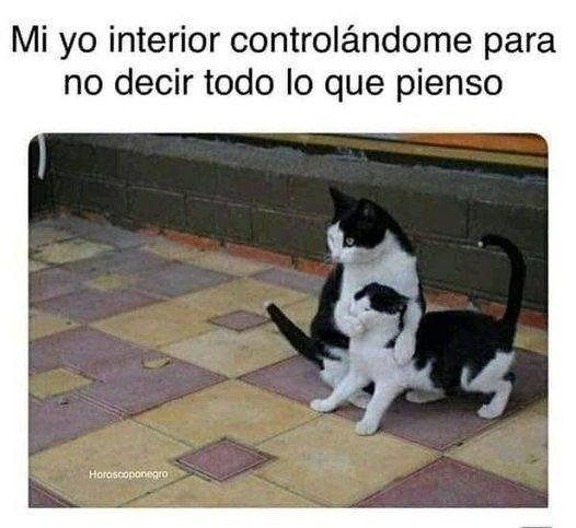 JotaEme (@jotaemeolea) on Twitter photo 