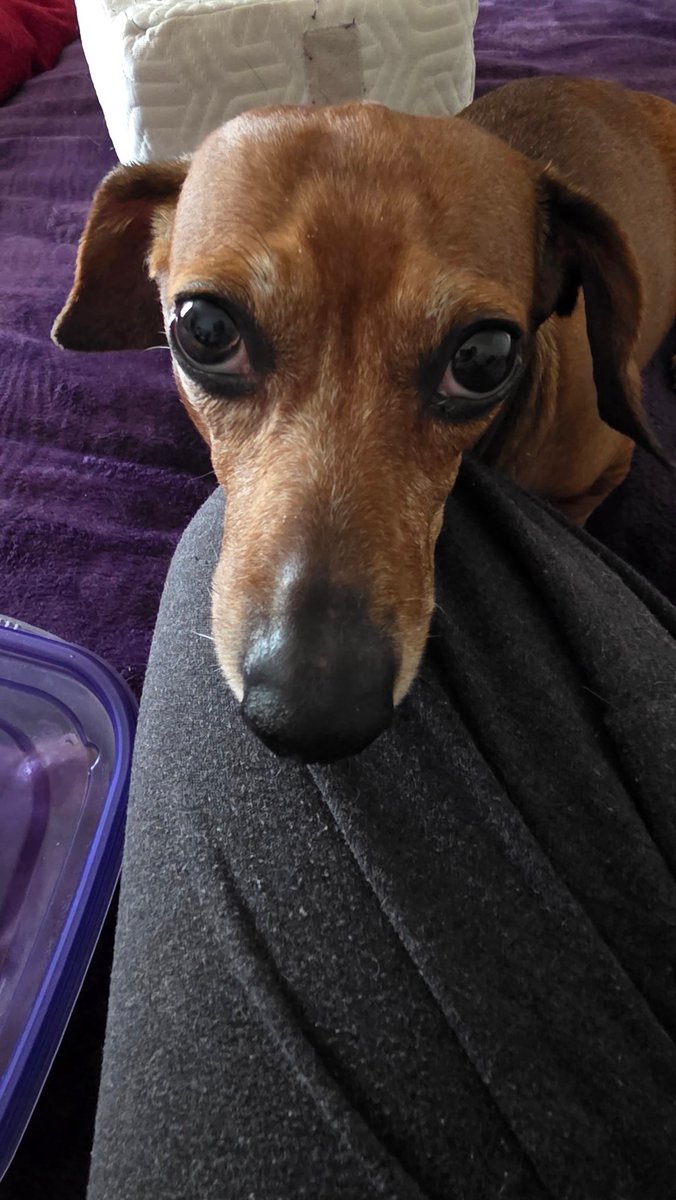 Lola ha pedido a este gaturrino que os de un ramo de florecitas, y que el amor esté con vosotros todos los días, sea en la que forma que sea.
Sus queremos

           🌷🌸🌷🌸
         🌸🌷🌸🌷🌸
      /ᐠ🌷🌸🌷🌸🌷
   ( ˶ᵔ ᵕ ᵔ🌷🌸🌷
       \ つ \       /
       U U / 🎀 \