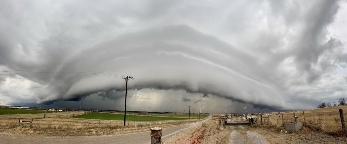 Josh Leach tweet media