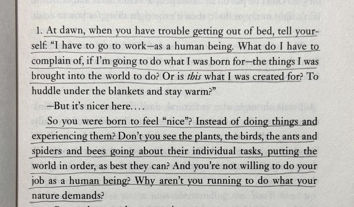 This is the most powerful passage from Meditations by Marcus Aurelius: