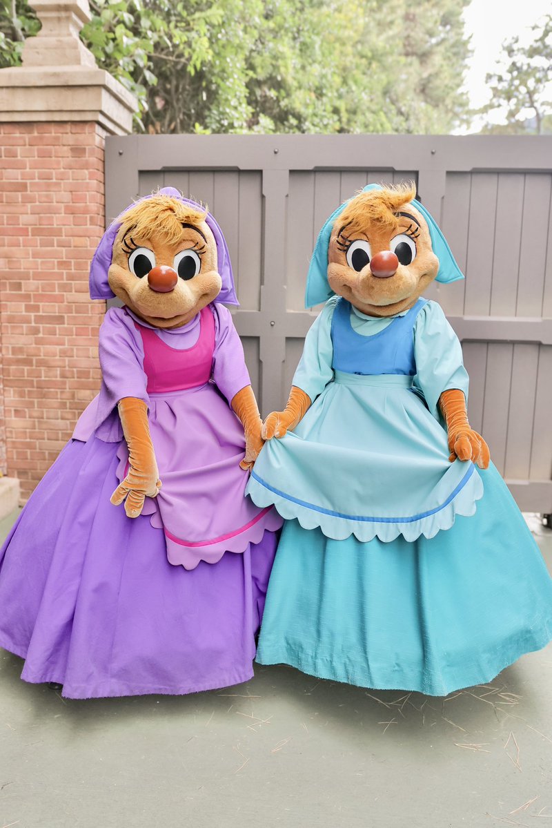 🩵 Happy Screen Debut Day 💜