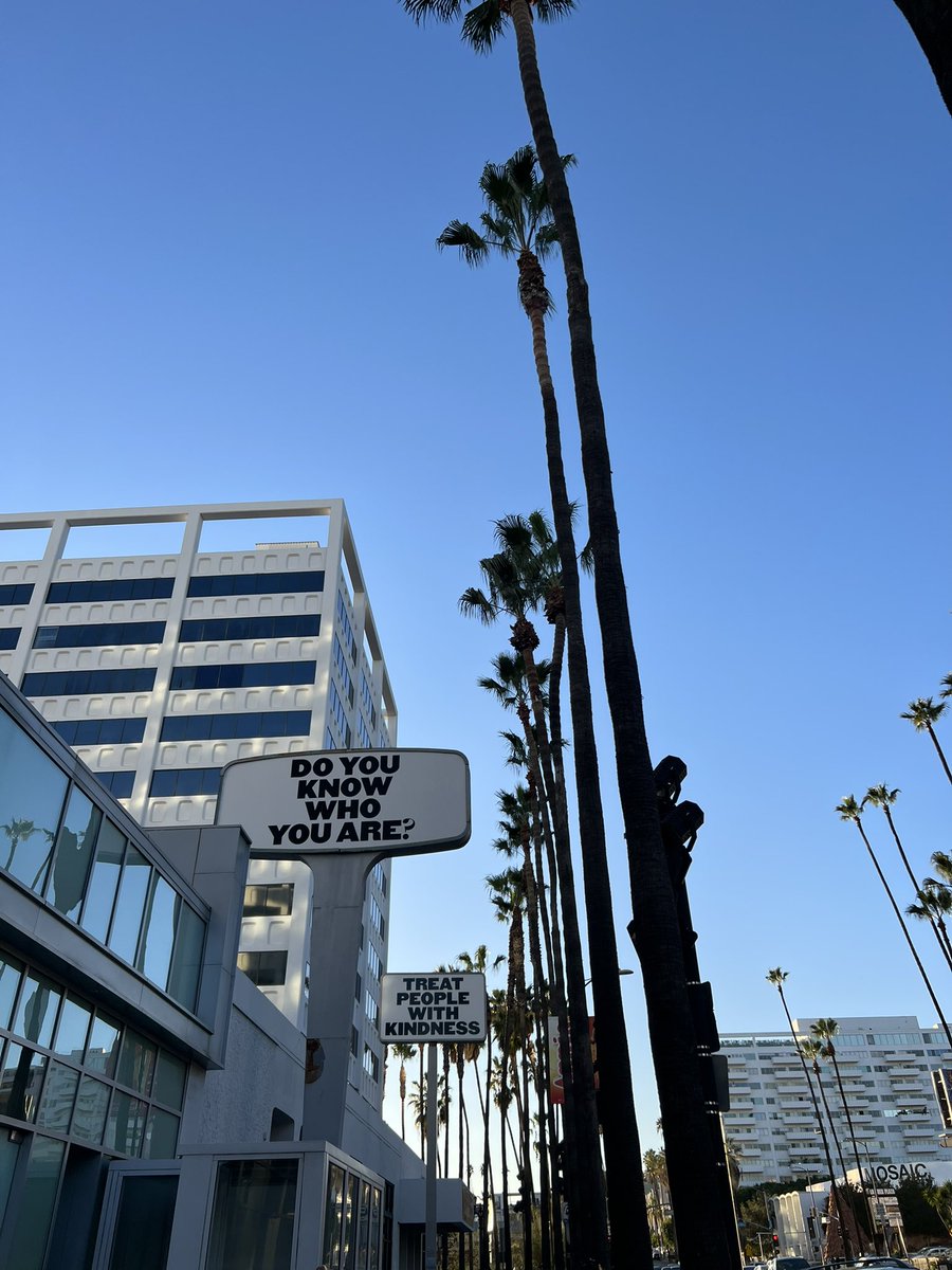 httpshenito's tweet image. 