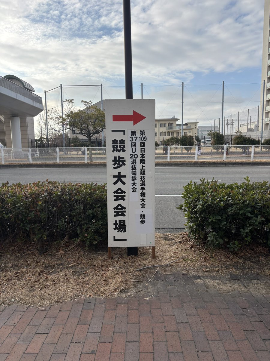 円盤投げおじさん (@discusojisan) on Twitter photo 