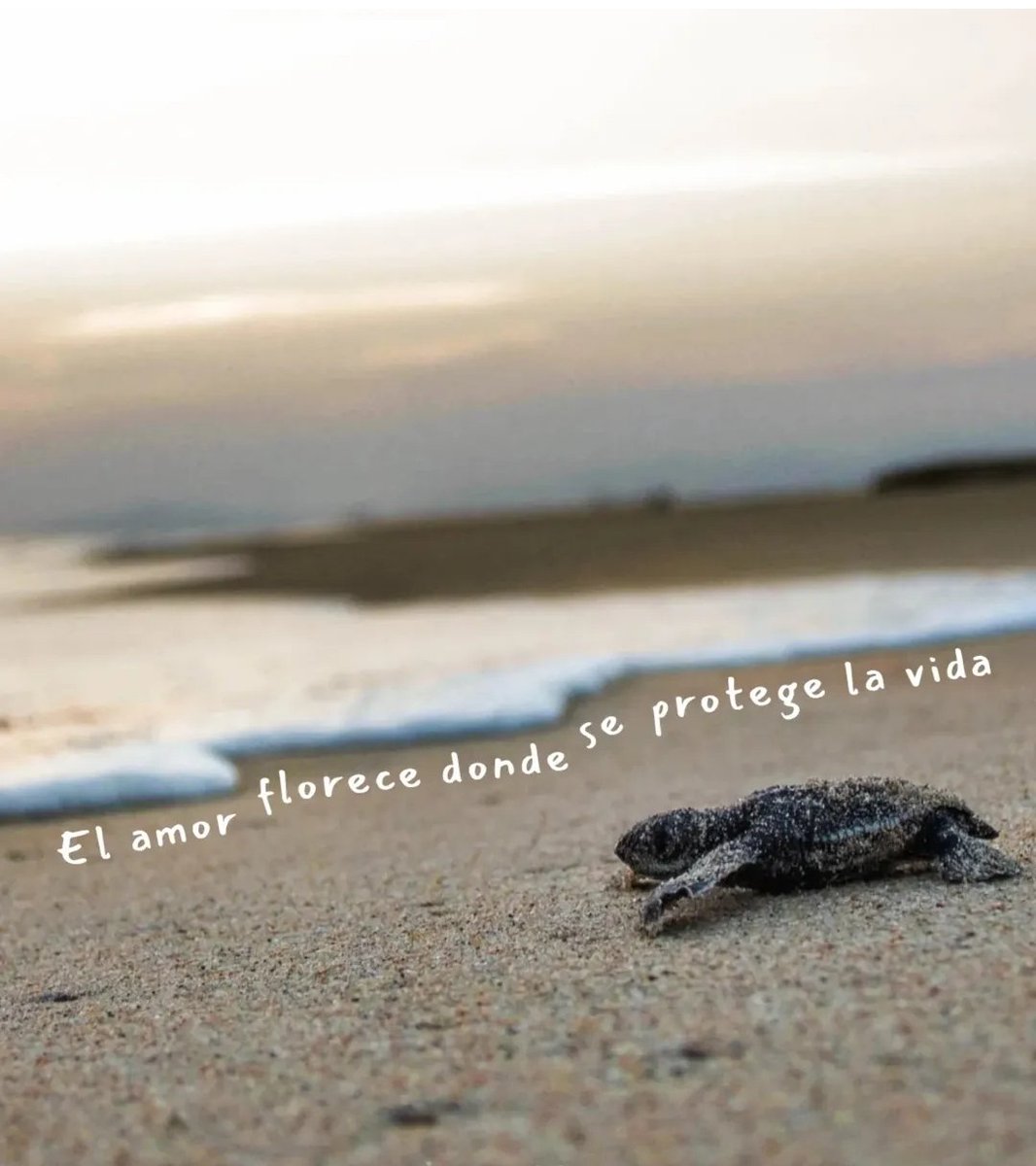 A. (@granfire) on Twitter photo 