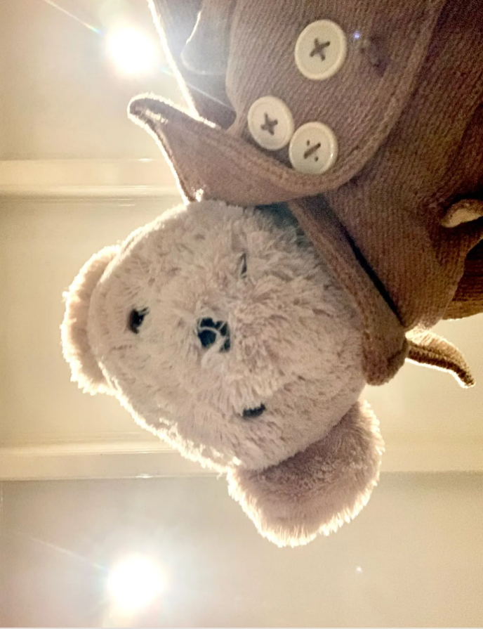 Ava_artistic_2's tweet photo. I named my doll Labearo🧸Say hello to her :) 

#foryoupage #unbanned #accountdisable #welcomeback #comdy #Commission #ArtistOnTwitter #doll #Labearo #mydoll #welcome2026 #happytogether #cutie #followback #girlwithdoll https://t.co/TUJRfuPF3M