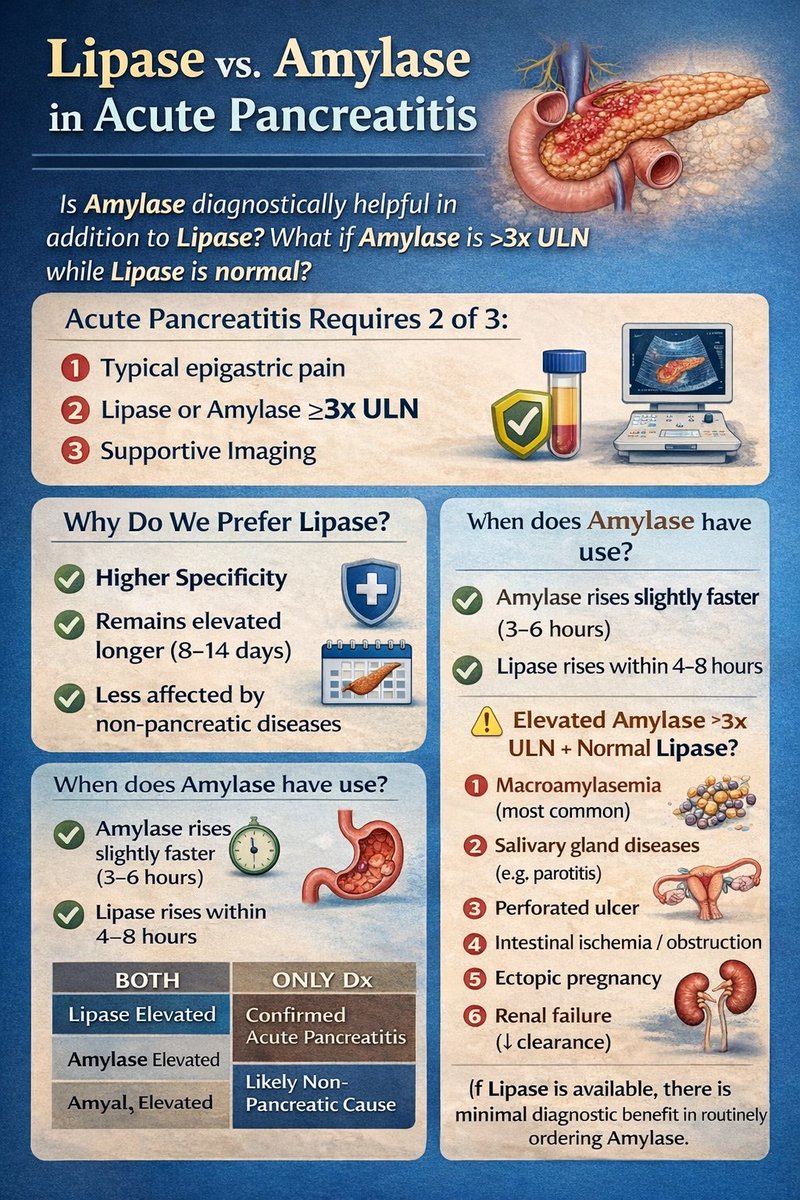 Dr mohamed Said Elgamal (@msaidelgamal) on Twitter photo 