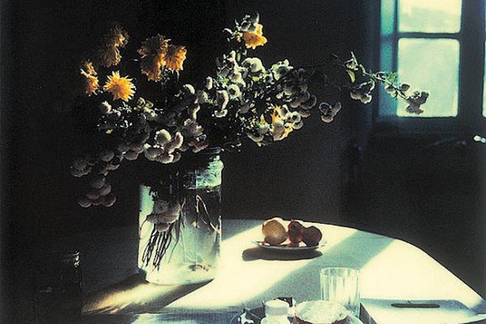 “Poetry is an awareness of the world, a particular way of relating to reality.”
- Andrei Tarkovsky