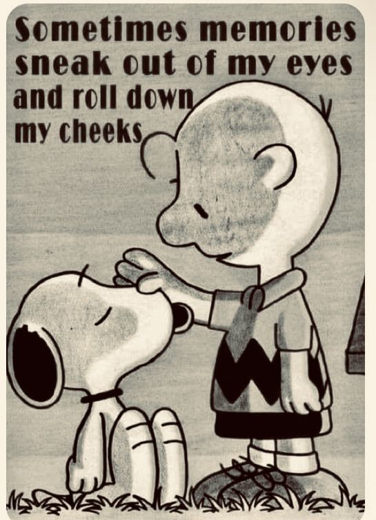 Stuart Mckay-Leslie (@stuartmckaylesl) on Twitter photo 