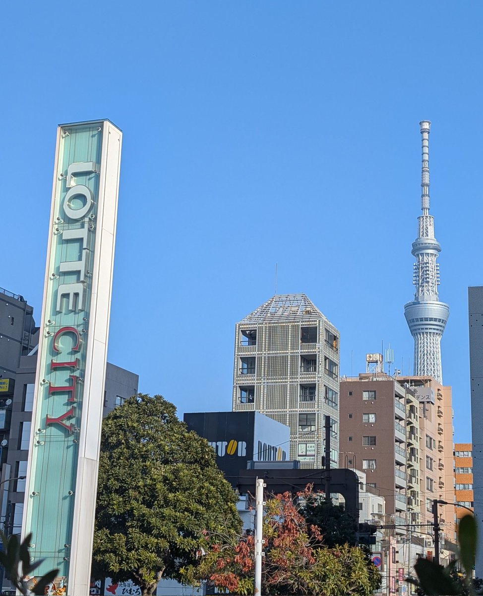 iguana_faceapp's tweet image. おはよ☀
Ｌ党のイグは今朝もモーニングにゅ🍔☕　ここは40年以上前からあるのよね。お向かいのロッテシティホテルは昔はロッテ会館だったの。そういえばイグの大学の本部は幕張にあるし、韓国のロッテワールドに行ったこともあるのよ😆
みなさん、よい一日を♥
#おはようイグたん
#faceapper