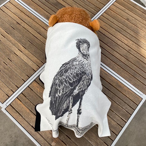 ハシビロコウ『ボンゴ』マルチラグ」をご紹介します 唯一無二の鋭い