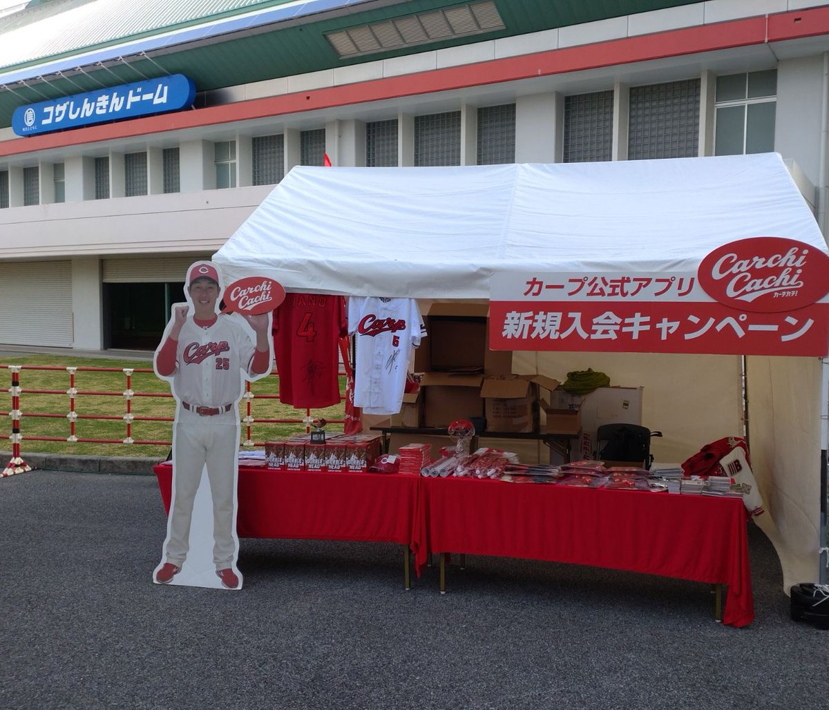 カープ公式アプリ　カーチカチ！ tweet media